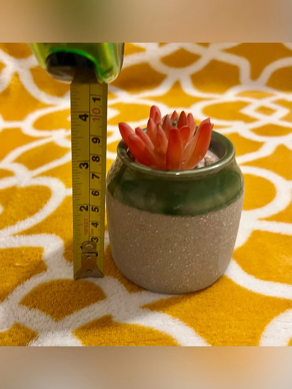 Set of 2 Artificial Succulent Plants in Ceramic Pots, Round Gray & White Square